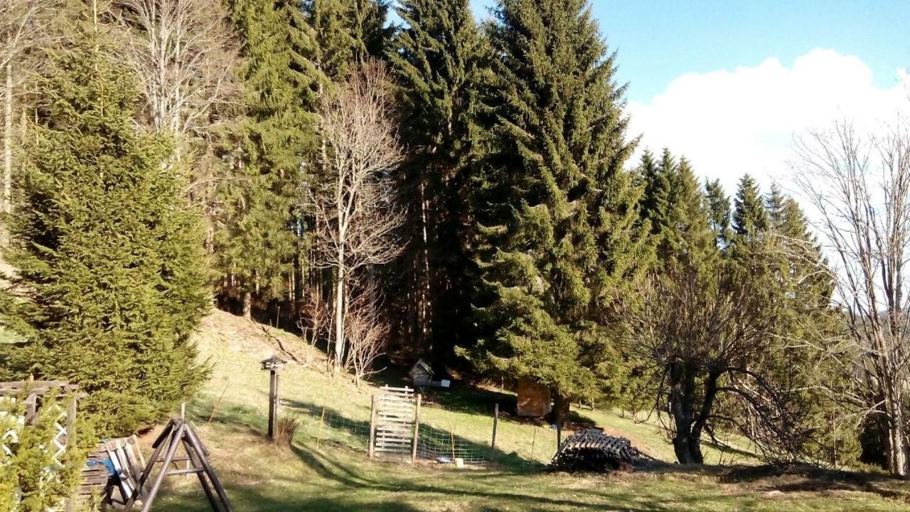 Gaestehaus Fridolin Krieglach Exteriér fotografie