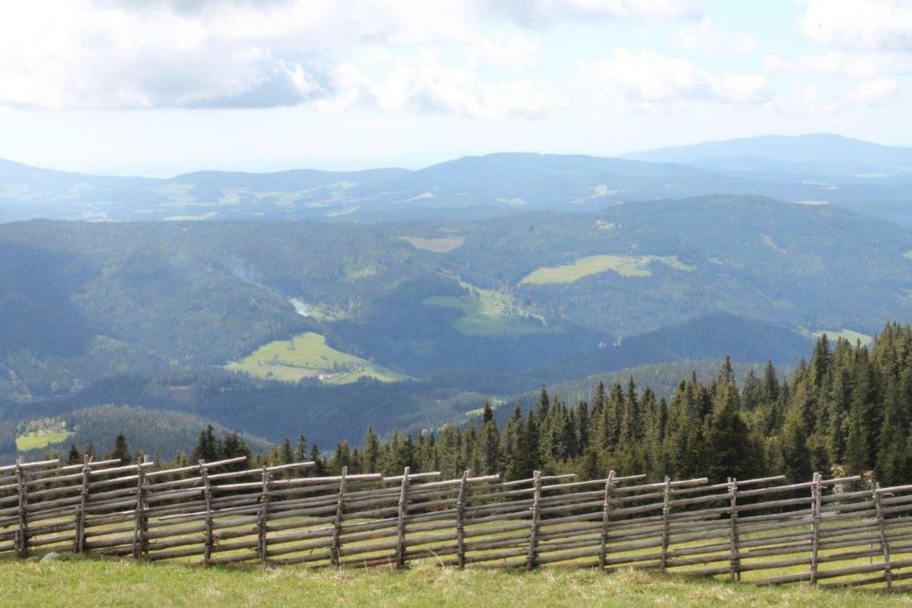 Gaestehaus Fridolin Krieglach Exteriér fotografie
